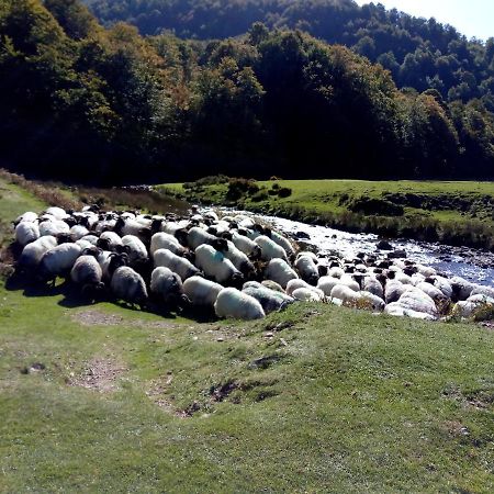 Gite Etxe Xuri Ossès Buitenkant foto
