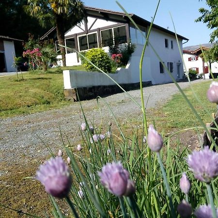 Gite Etxe Xuri Ossès Buitenkant foto