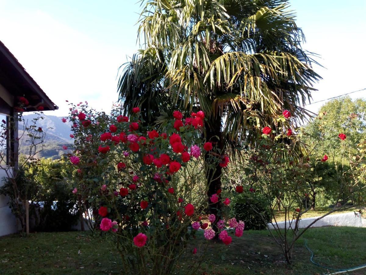 Gite Etxe Xuri Ossès Buitenkant foto