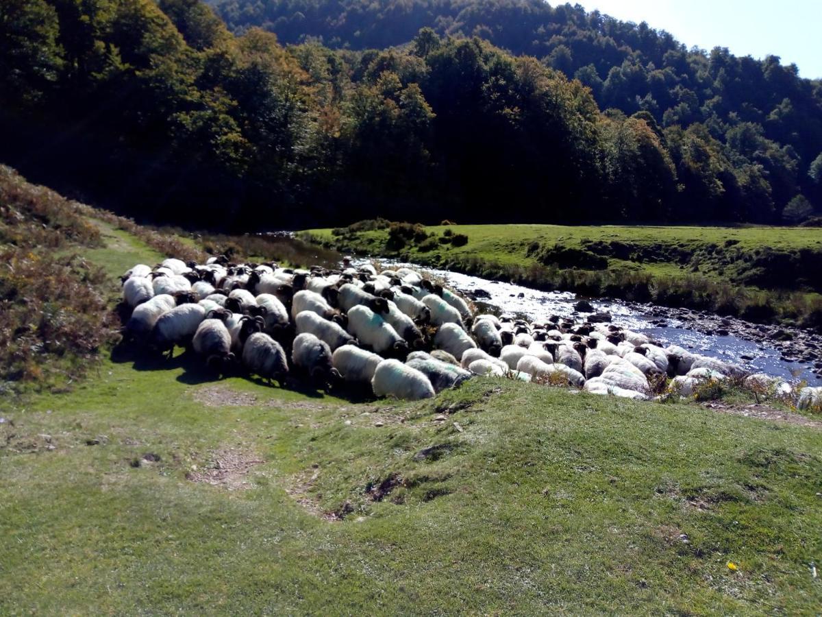 Gite Etxe Xuri Ossès Buitenkant foto